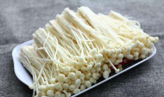 木瓜金针菇可以同吃吗 把握这些生活常识