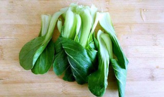 水煮油菜的做法 省时又营养