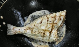 烧剥皮鱼的做法 可以学习这种做法