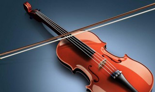 弓弦乐器包含哪些乐器 弓弦乐器发声原理是什么