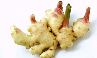 乙烯利泡姜种怎么配水 大家可以看一看