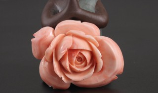 雕刻玫瑰手法 一起来学习吧