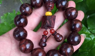 海黄紫油梨鉴别 有保藏价钱吗