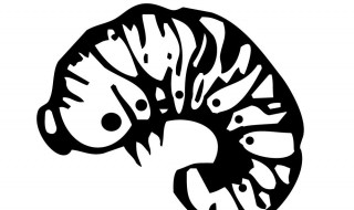 柴油擦了木头能防蛀虫吗 还有什么方法好