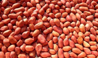 梦见花生很多在袋子 梦里的意思你知道吗