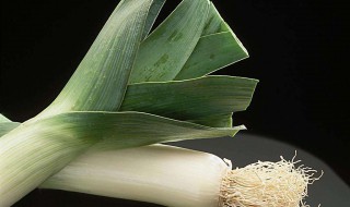 葱怎么保鲜不会干掉啊 告诉你正确的保鲜方法