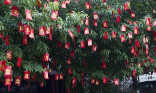 梦到树上挂红包 到底是吉是凶呢