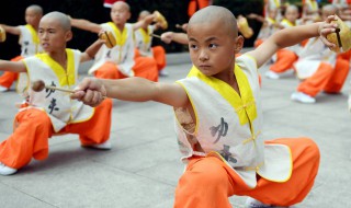 八闪翻是什么 八闪翻是传统拳术之一