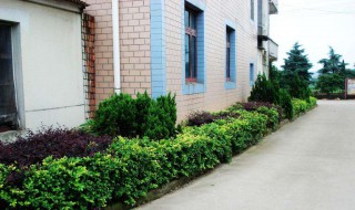 屋前屋后风水讲究 房前屋后有什么风水禁忌