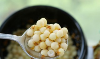 鸡头米干怎么泡制 芡实怎么泡