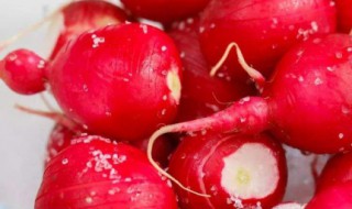 东北红皮大萝卜的腌制方法 保证你吃到停不下嘴来