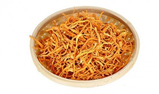 虫花草有什么功效 虫花草的作用