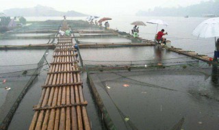 桥筏技巧 桥筏钓鱼技巧