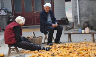 剥玉米神器制作 最简单的剥玉米神器制作方法