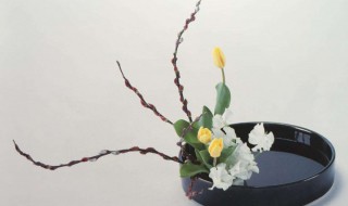 小原流插花的口诀 小原流插花的口诀是什么