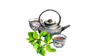 茶杯与茶壶作用有何区别 茶杯由什么做的