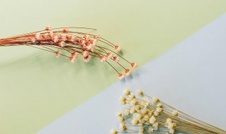 如何自我介绍范文 自我介绍怎么写