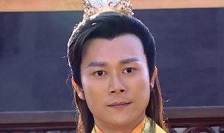 龙巡天下35大结局 电视剧龙巡天下的大结局是什么