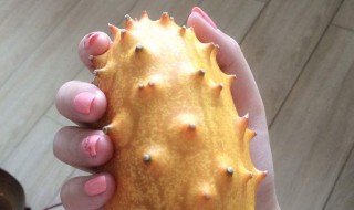 火焰参怎么吃 你喜欢这种吃法吗