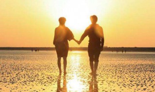 从此不再碰感情什么歌 不爱我就别伤害我