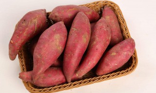 霜降后挖的红薯怎么保存 红薯最佳收获时期是什么时候