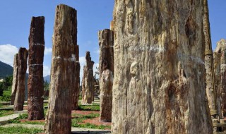 硅化木怎样加工 又叫什么