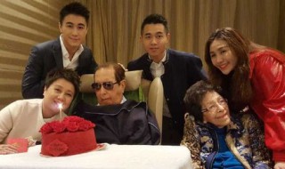 何鸿燊靠什么维持身体 怎么治的？