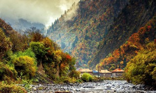 成都到奶子沟多少公里 成都到奶子沟有多远