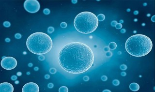 月麻亚酸是什么 关于它的简介