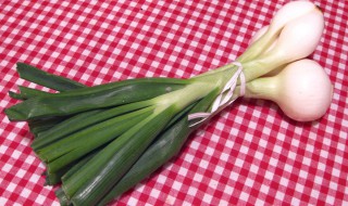 女人吃葱的好处 一起了解一下