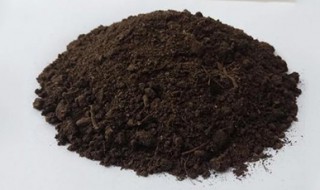 土壤里有黄曲霉素怎么办 如何去除黄曲霉素