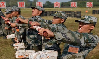 身份证能查到我在部队服兵役吗 有什么办法可以查询