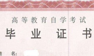 单招生可以自考么 了解一下