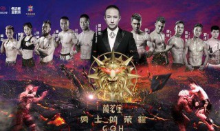 勇士的荣耀在哪个台播出 是什么节目