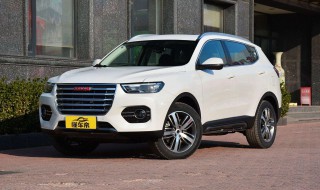 懂车帝怎么拍人脸 什么是懂车帝