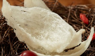 怎么买进口燕窝真的 如何买真的买进口燕窝