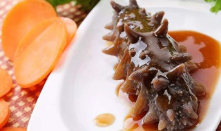 海参早晨的吃法 做起来简单且快