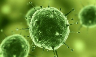 什么是虫癌 你知道吗?