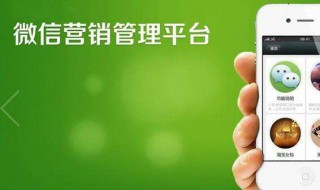 不小心把微信清理了怎么办 原来可以这样做