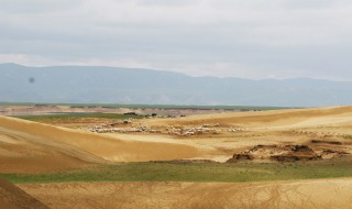 退化草地的恢复 草地植被恢复与重建方法