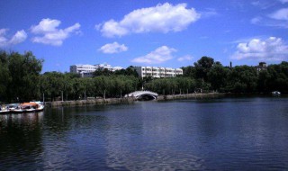 年轻的城是指什么地方 带你一同了解这座城市