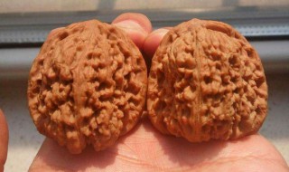 南疆石核桃怎么盘 南疆石狮子头该如何盘玩