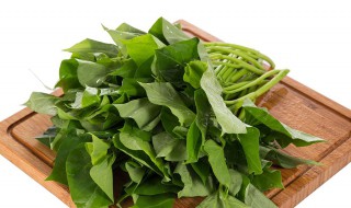 猪吃红薯藤有什么好处 红薯藤是蔬菜皇后