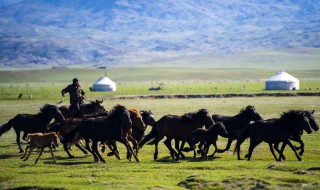 哈萨克族历史上有哪些贡献 带你了解这段难忘的历史