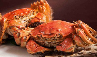 母螃蟹好还是公螃蟹好 你怎么看
