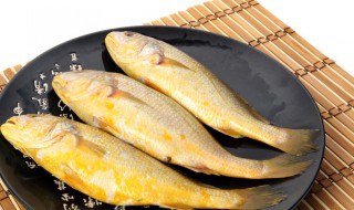 鱼皮黄色有什么鱼 皮黄色有哪些鱼