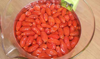 熟地枸杞泡酒的作用 可以了解一下哦