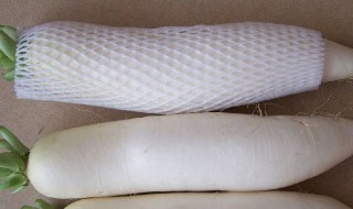 大萝卜怎么保鲜 大萝卜保鲜方法详解