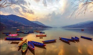 尼泊尔男女比例是多少 尼泊尔人口指标