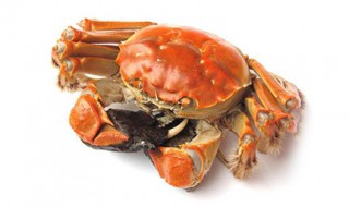 大闸蟹死了多久可以吃 千万要记住